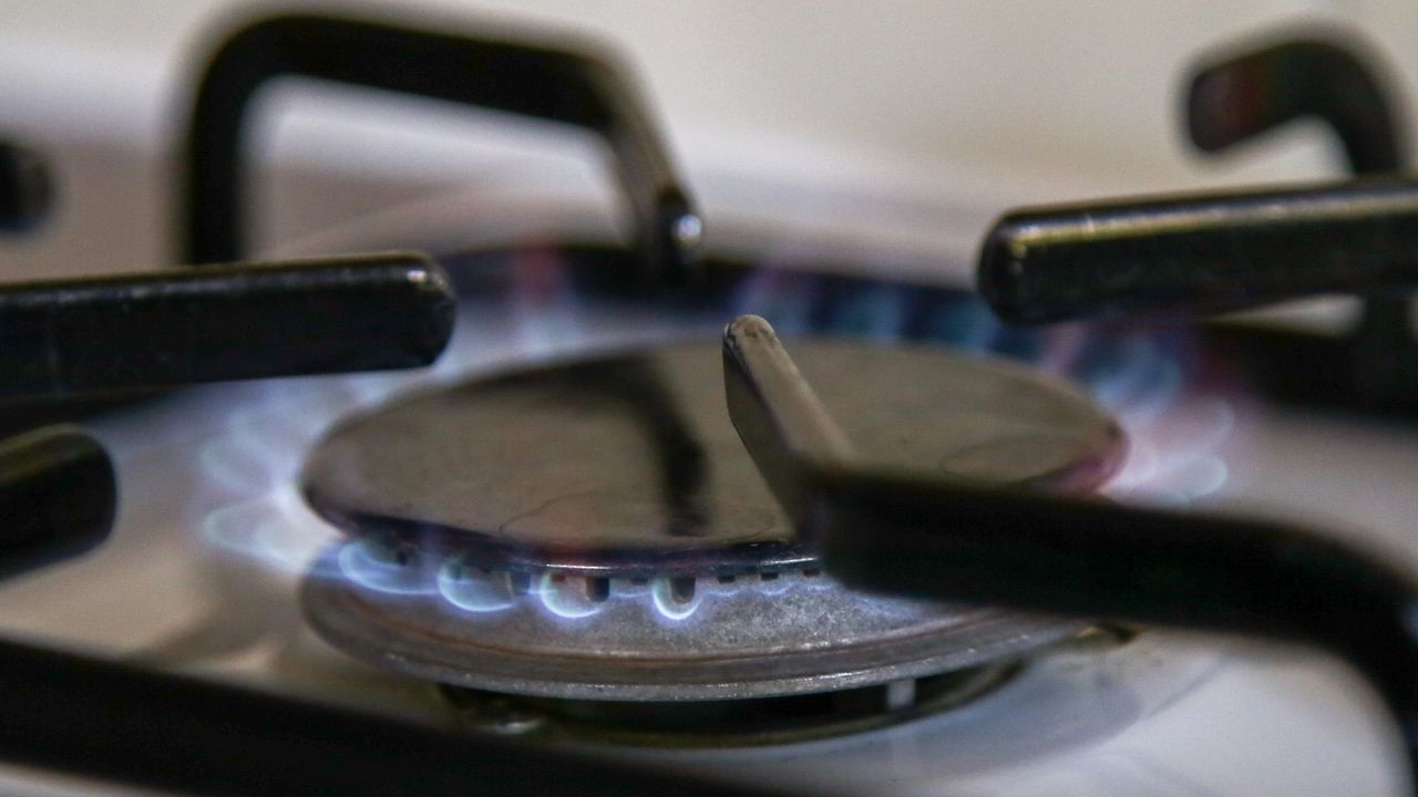 A gas hob