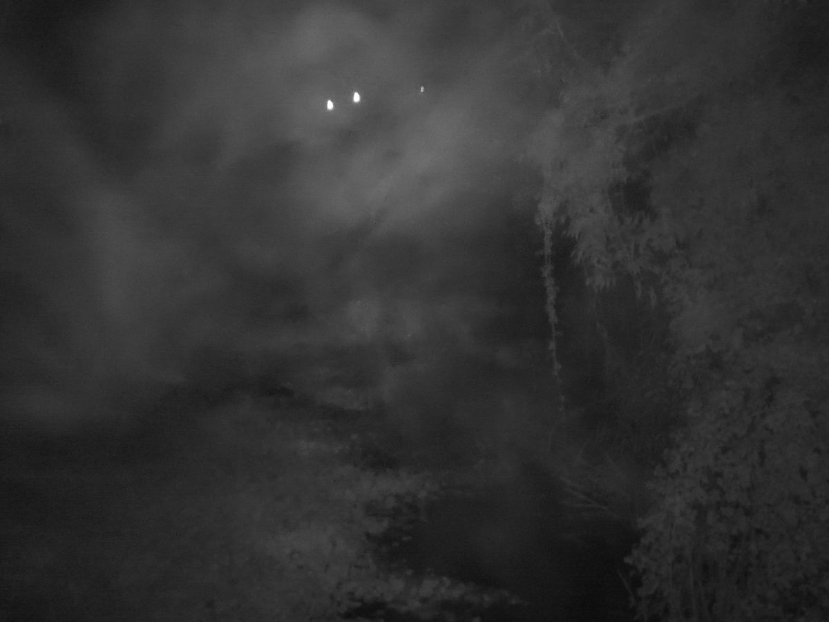 DOOGEE S98 Pro review: Night Vision Camera