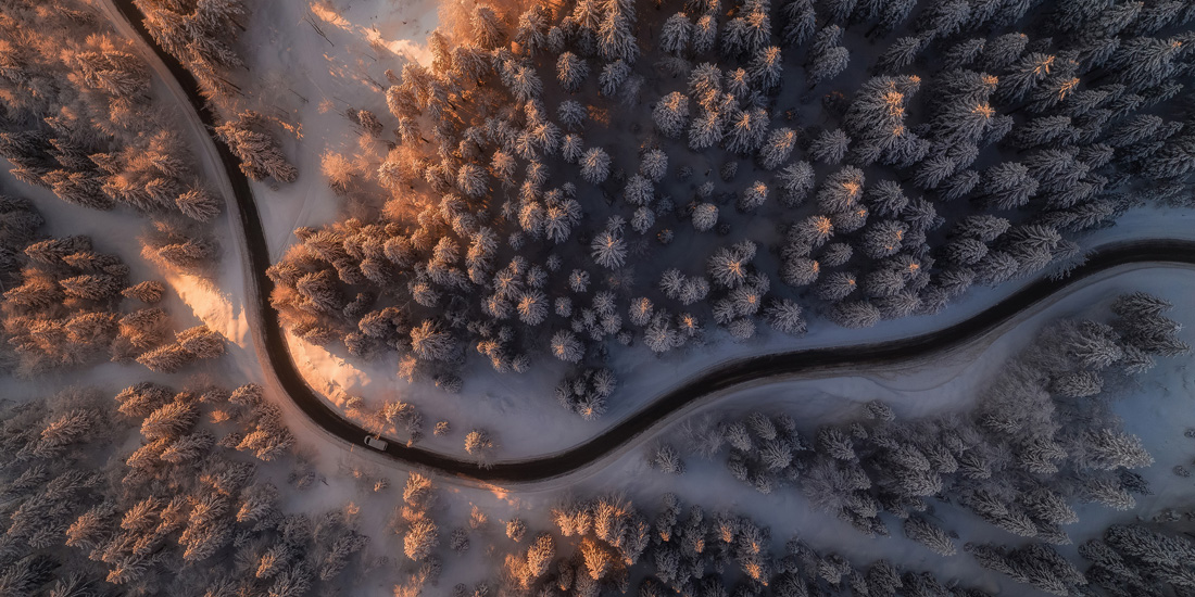 The Epson International Pano Awards