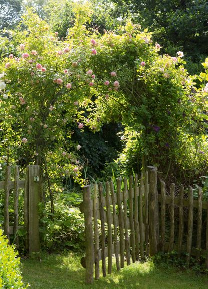 Monty Don's plant support ideas and tips | Homes & Gardens