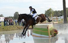 HORSEWARE-HALE-BOB_Pau14pn_48940C.jpg