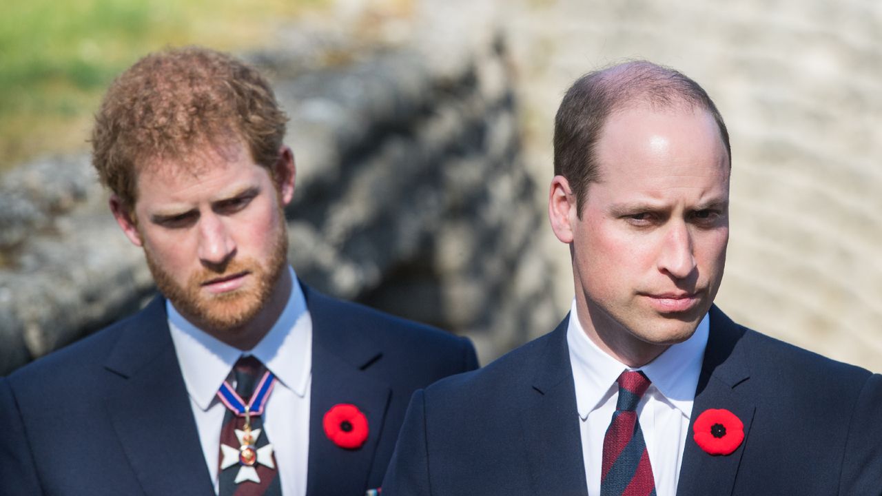 Prince William, Duke of Cambridge and Prince Harry walk through a trench during the commemorations for the 100th anniversary of the battle of Vimy Ridge on April 9, 2017 in Lille, France.