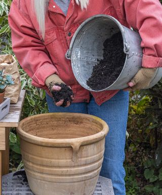 Adding compost to a large plant pot