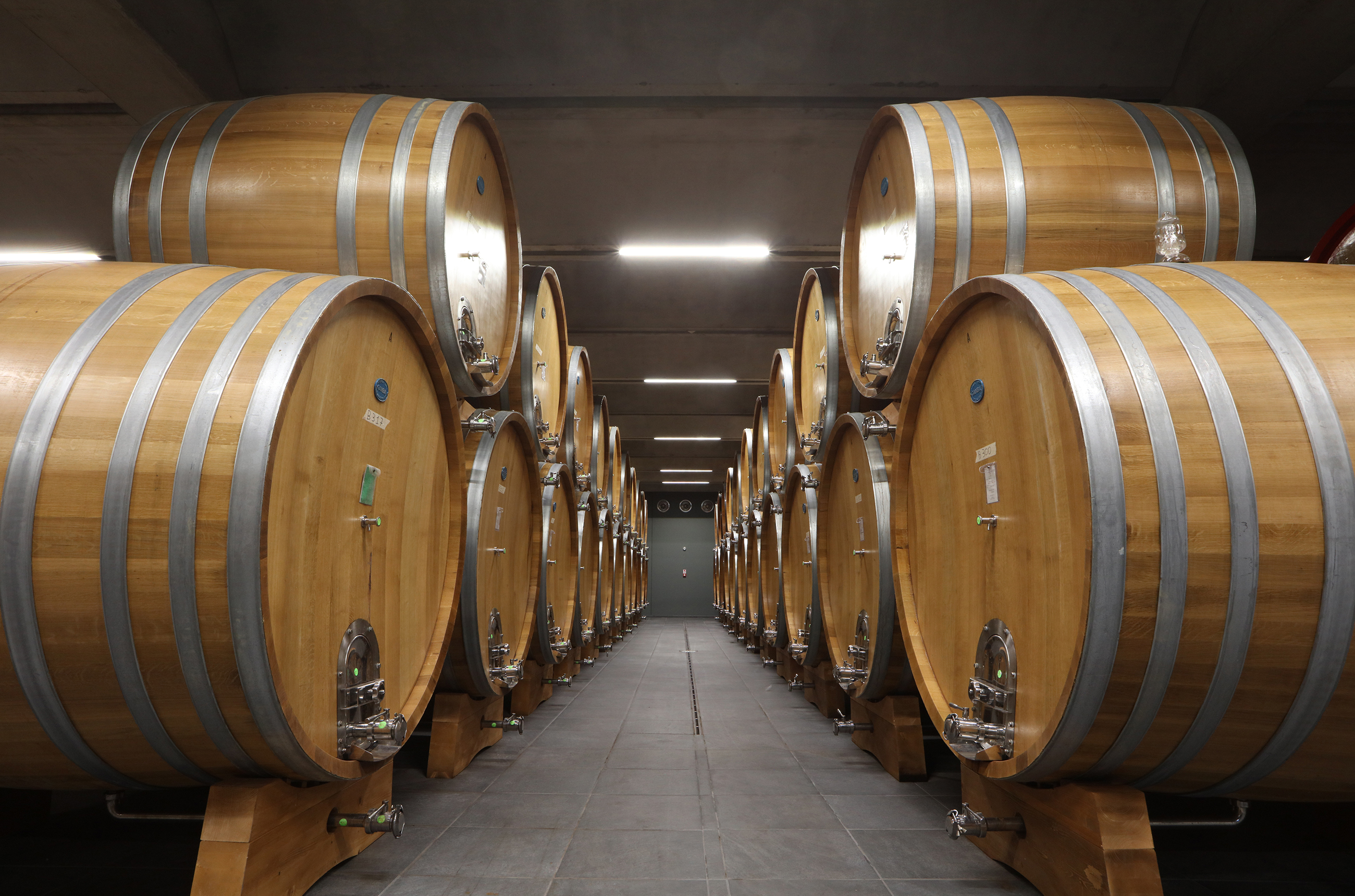 Large oak barrels