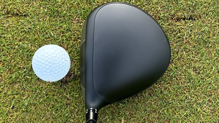 Photo of the Cobra DS-ADAPT LS Driver at address