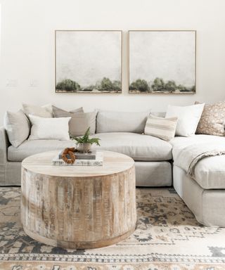 A white living room with pale grey sofa, tree truck coffee table and landscape paintings