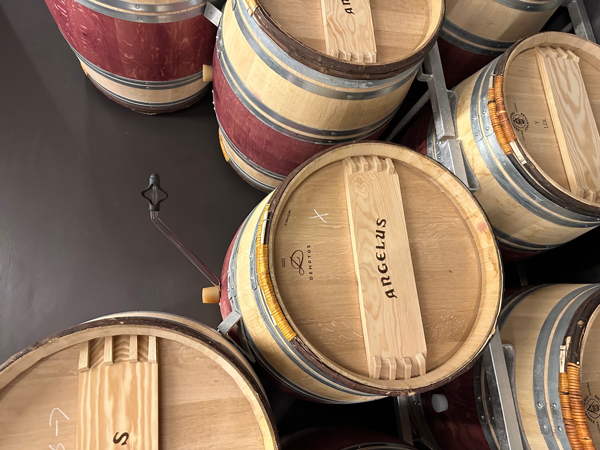 Barrel tasting at Ch&amp;acirc;teau Ang&amp;eacute;lus