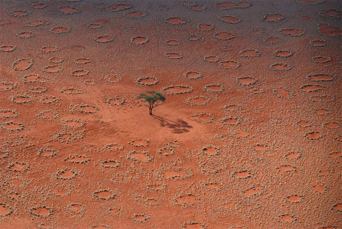 fairy circles in NamibRand Nature Preserve, Namibia.