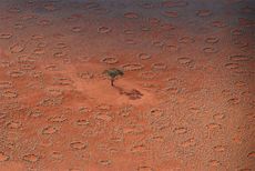 fairy circles in NamibRand Nature Preserve, Namibia.