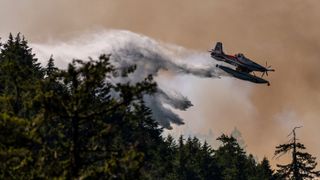 A photo of a waterbomber plane dropping water on a wildfire in a forest in Canada