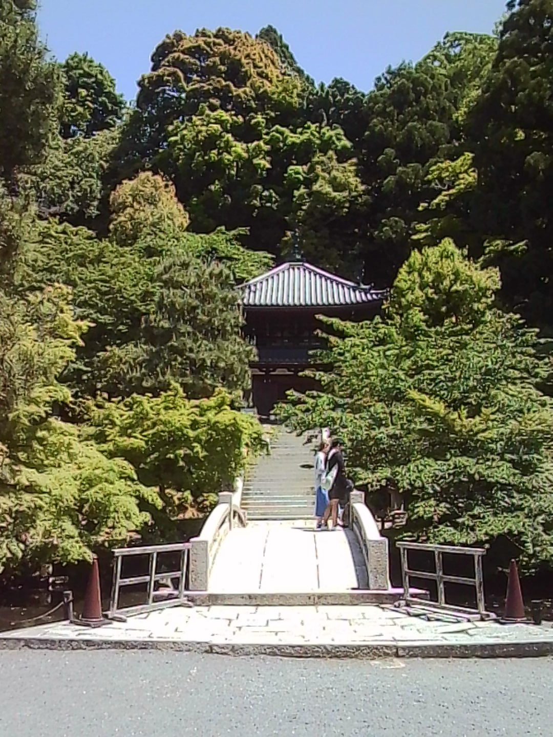 Small bridge leading toward a temple building surrounded by dense green trees.