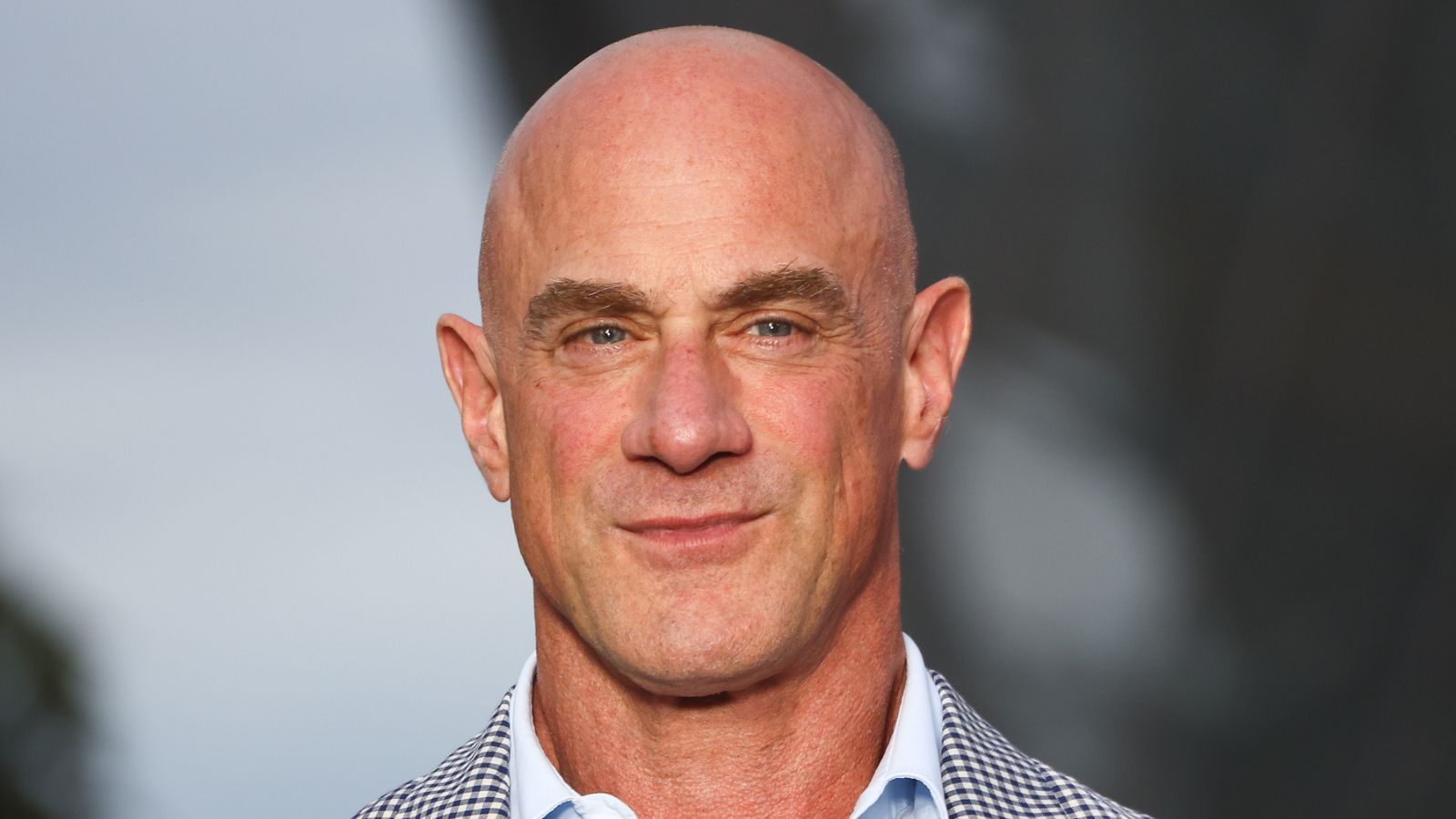 christopher meloni on a gray background