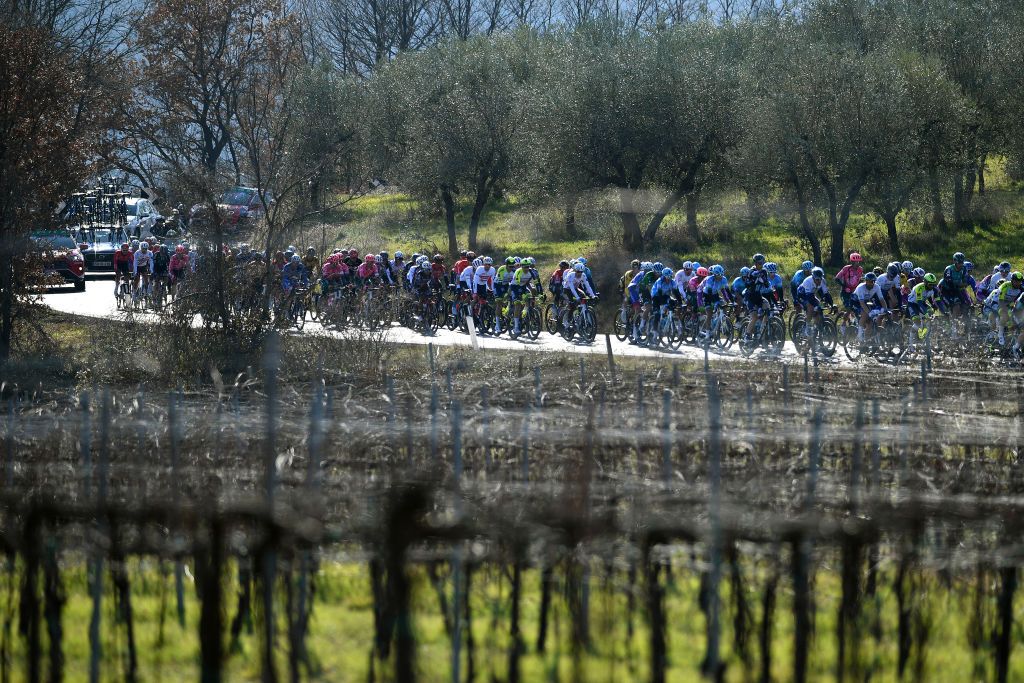 TERNI ITALY MARCH 09 A general view of the Peloton passing through a vineyards field during the 57th TirrenoAdriatico 2022 Stage 3 a 170km stage from Murlo to Terni TirrenoAdriatico WorldTour on March 09 2022 in Terni Italy Photo by Tim de WaeleGetty Images