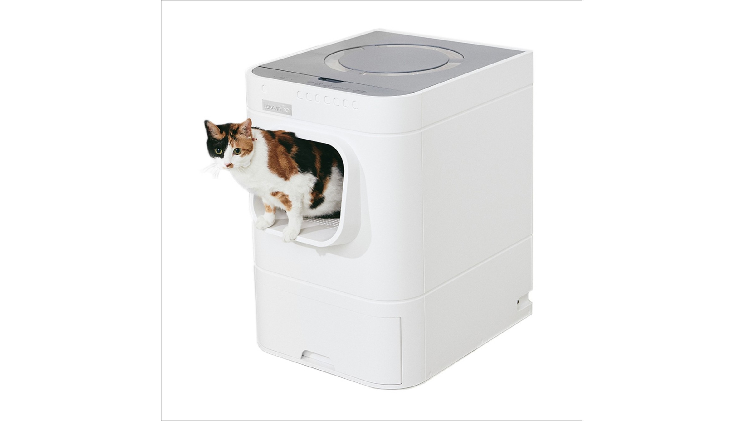 Best selfcleaning cat litter boxes PetsRadar