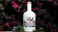Pink Marmalade Gin