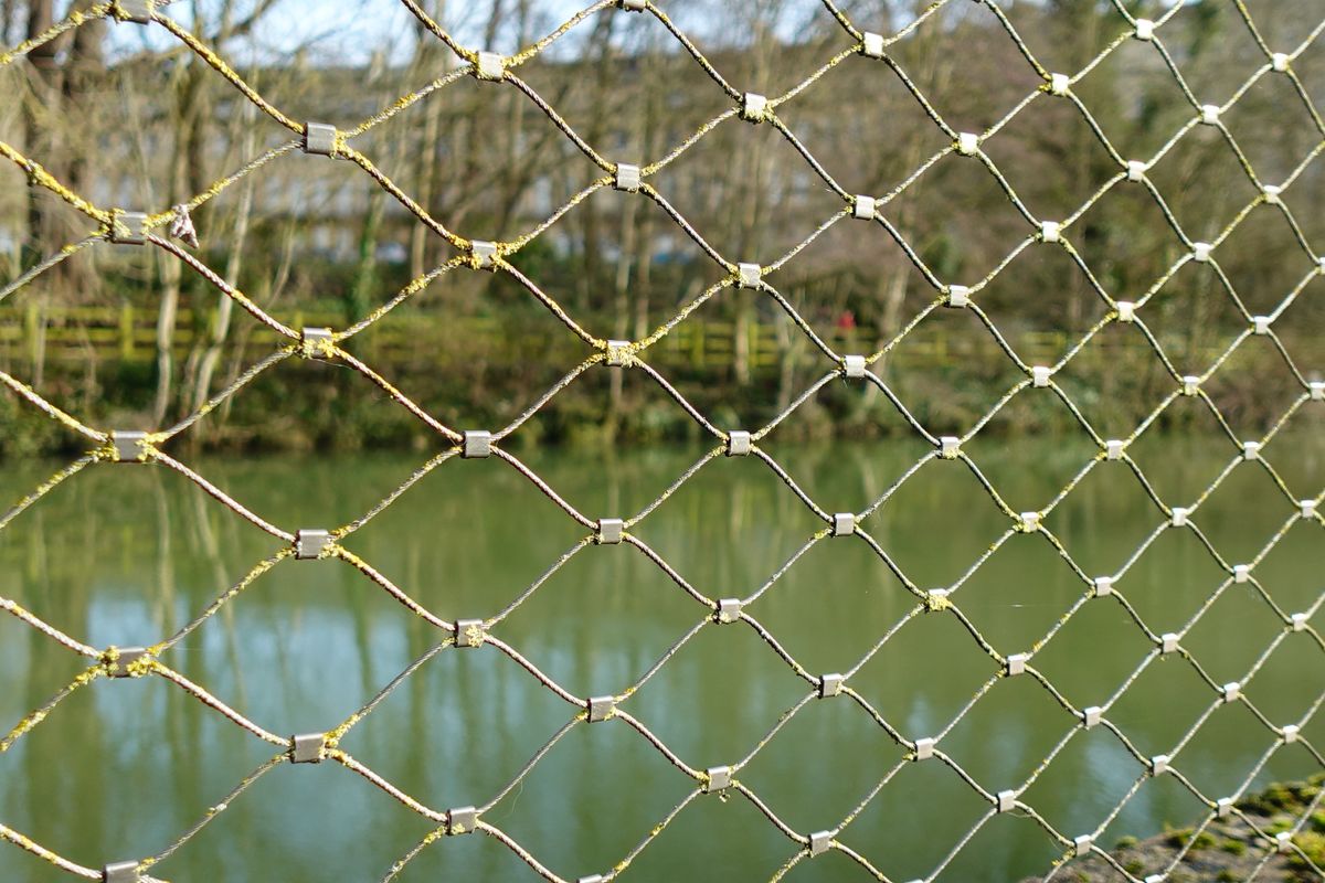 A photo of some fencing taken on a Sony ZV-1F vlogging camera