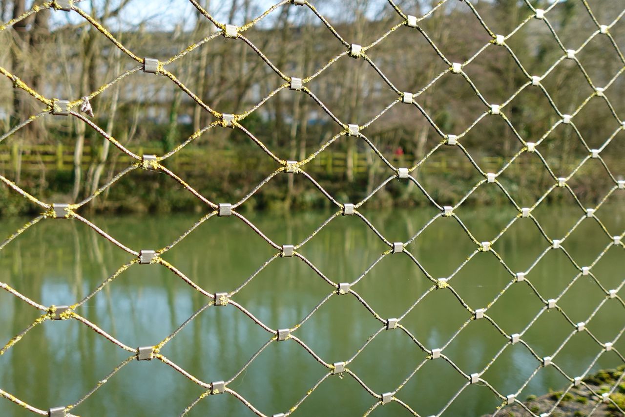 A photo of some fencing taken on a Sony ZV-1F vlogging camera
