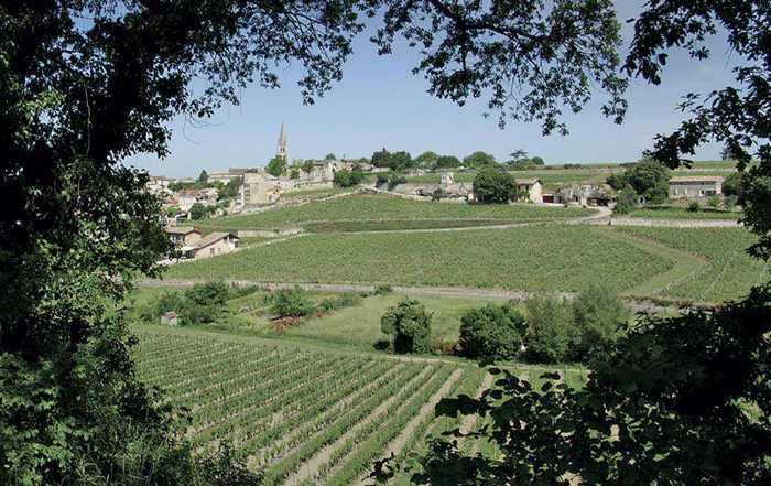 Ch&amp;acirc;teau La Clotte