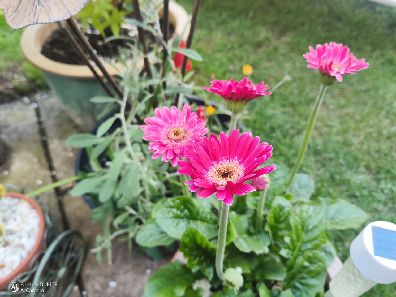 Oukitel WP500 Ultra camera examples