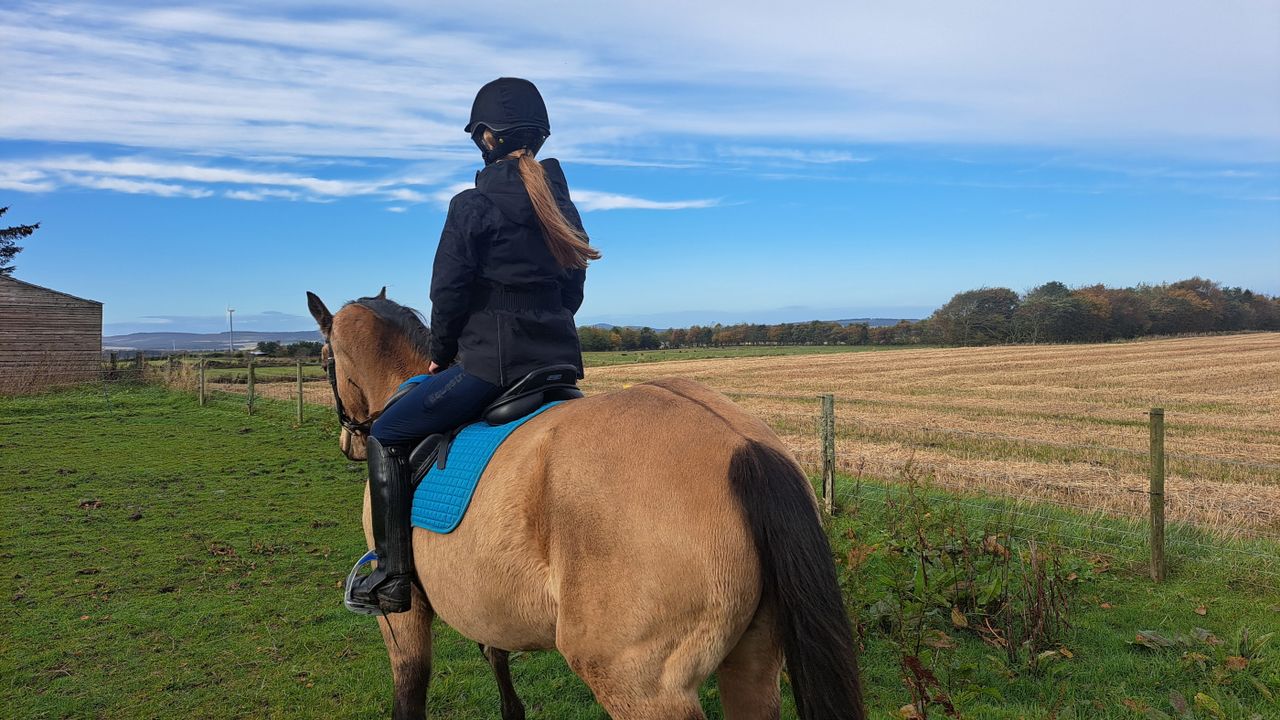 Ariat Valor 2.0 Waterproof Jacket