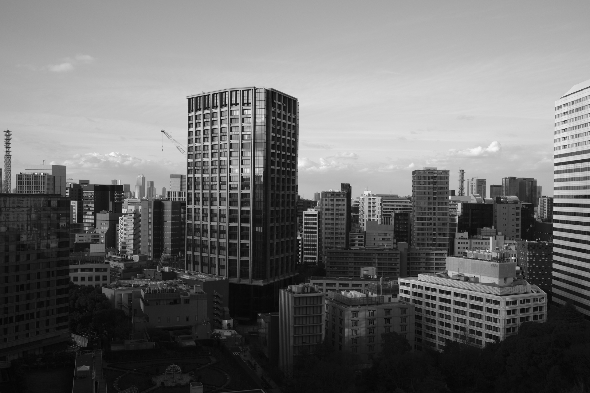 Tokyo cityscape from elevated viewpoint