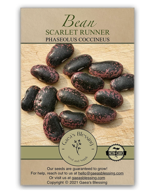 runner bean seeds