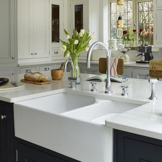 kitchen with white counter wash basin and flower pot
