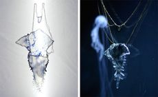 Jewelry pieces with transparent jewels