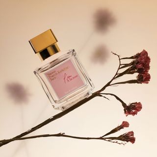 Maison Francis Kurkdjian L'eau À La Rose Eau de Toilette floral perfume shot on a flower stem