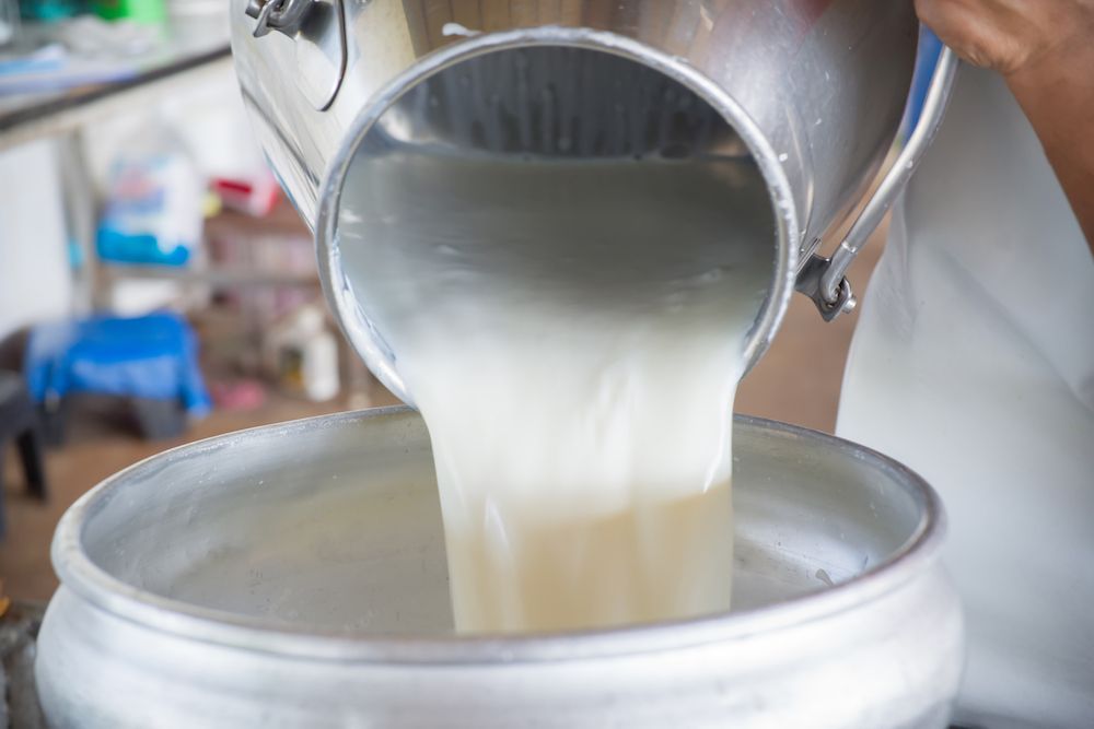 raw milk