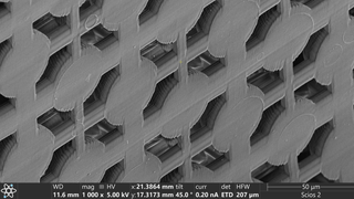 3D printed structure