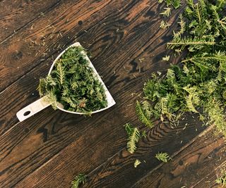 Christmas tree needles in a dust pan