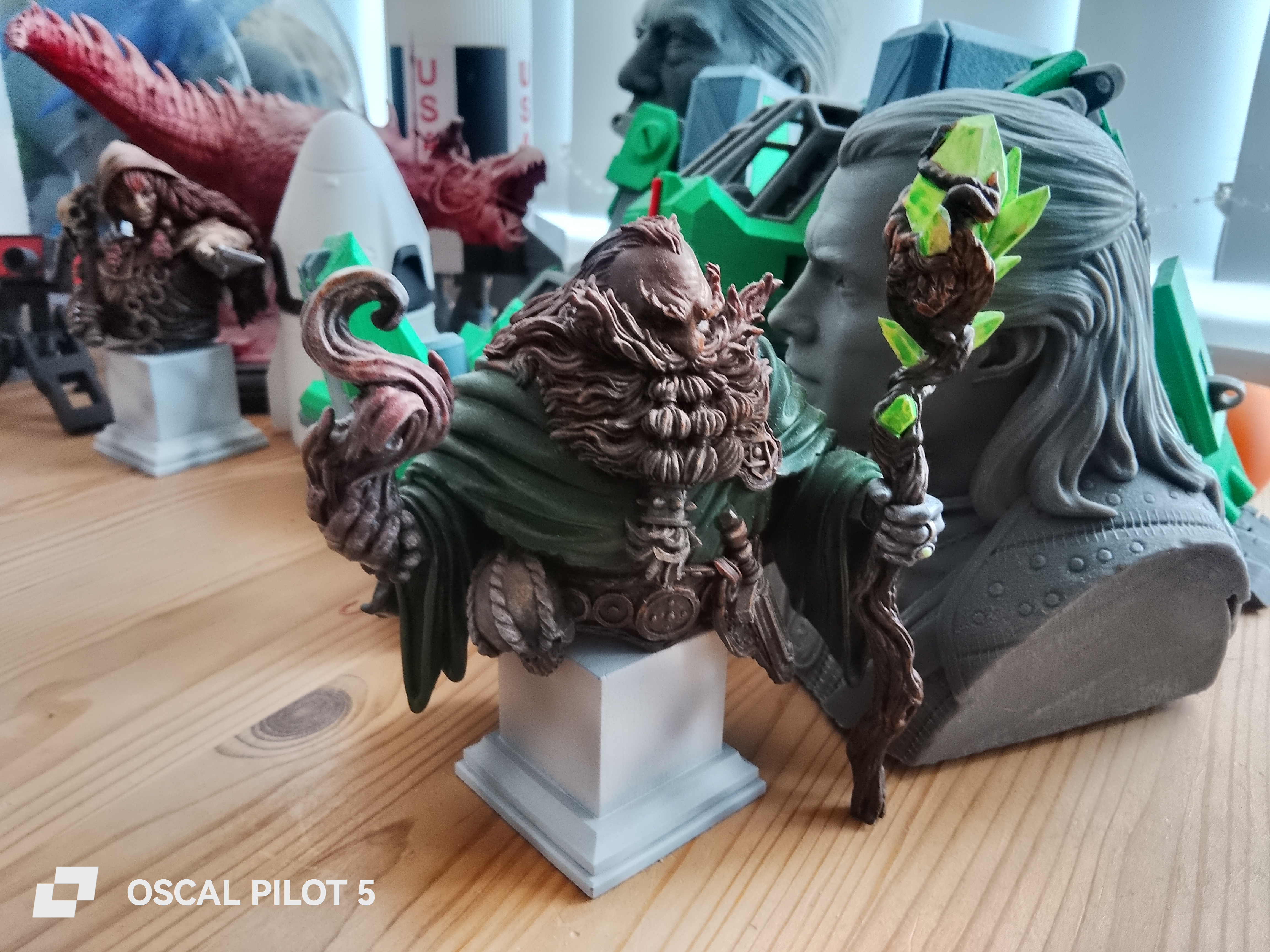 Oscal Pilot 5 Example Photos