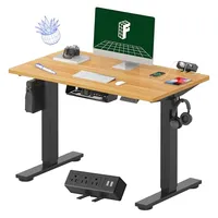FlexiSpot EN2 standing desk with clamp power strip (40-inch)