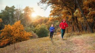 running-in-forest