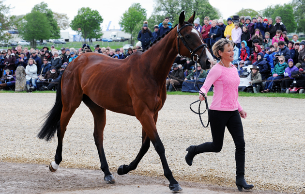 The Mitsubishi Motors Badminton Horse Trials on 10 05 2015