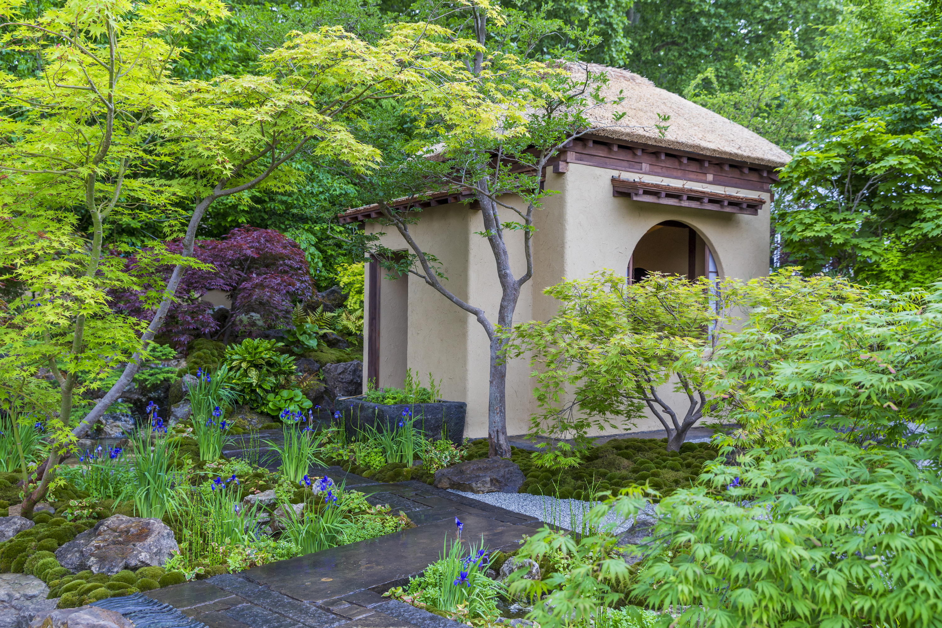 Cha no Niwa - Japanese Tea Garden at RHS Chelsea Flower Show 2025