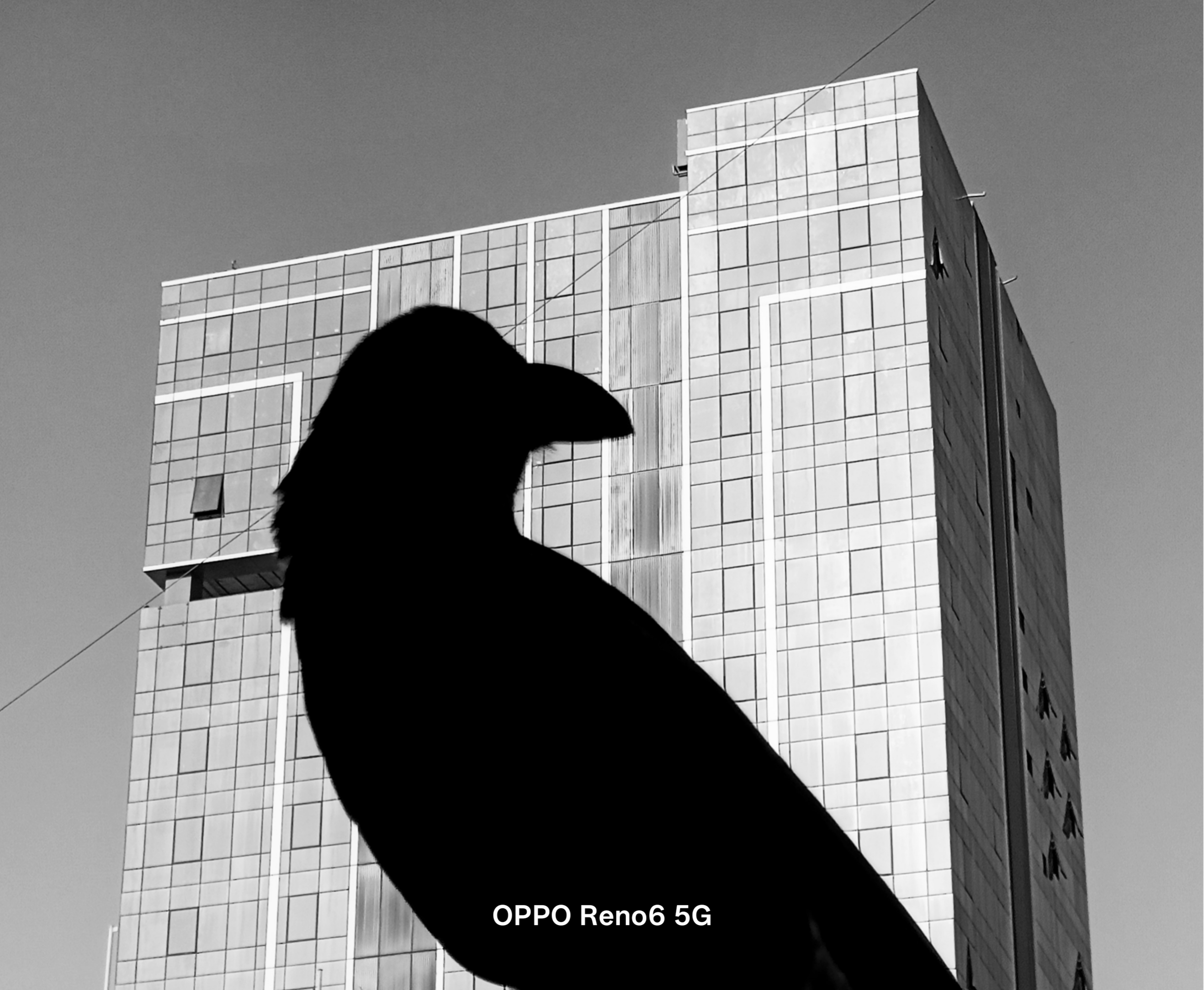 Oppo Photography Awards 2025 winning entries