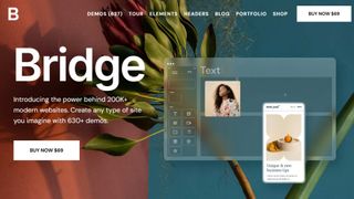 Website screenshot for Bridge