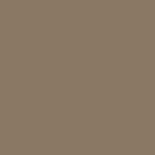 mid-brown paint swatch