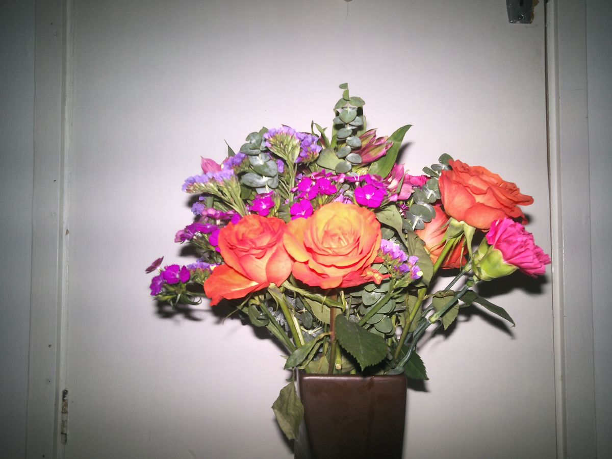 Sample photography from Camp Snap CS-Pro showing a bunch of flowers, the image is bright but generally well-exposed