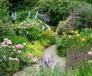 A dense flower bed along a path