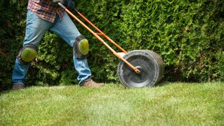 A lawn roller being pushed over the grass