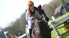 Storm Straker and Fever Pitch at Thoresby 2025.