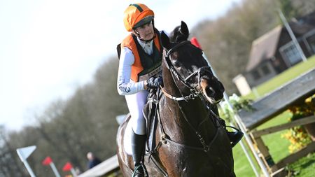 Storm Straker and Fever Pitch at Thoresby 2025.
