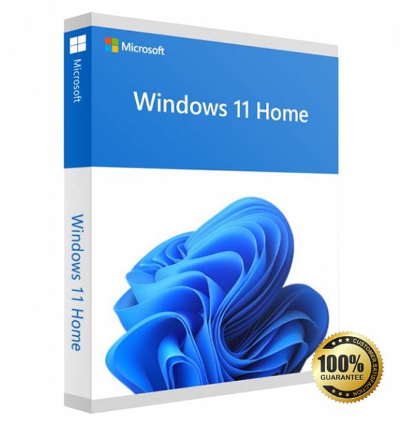 Windows 11