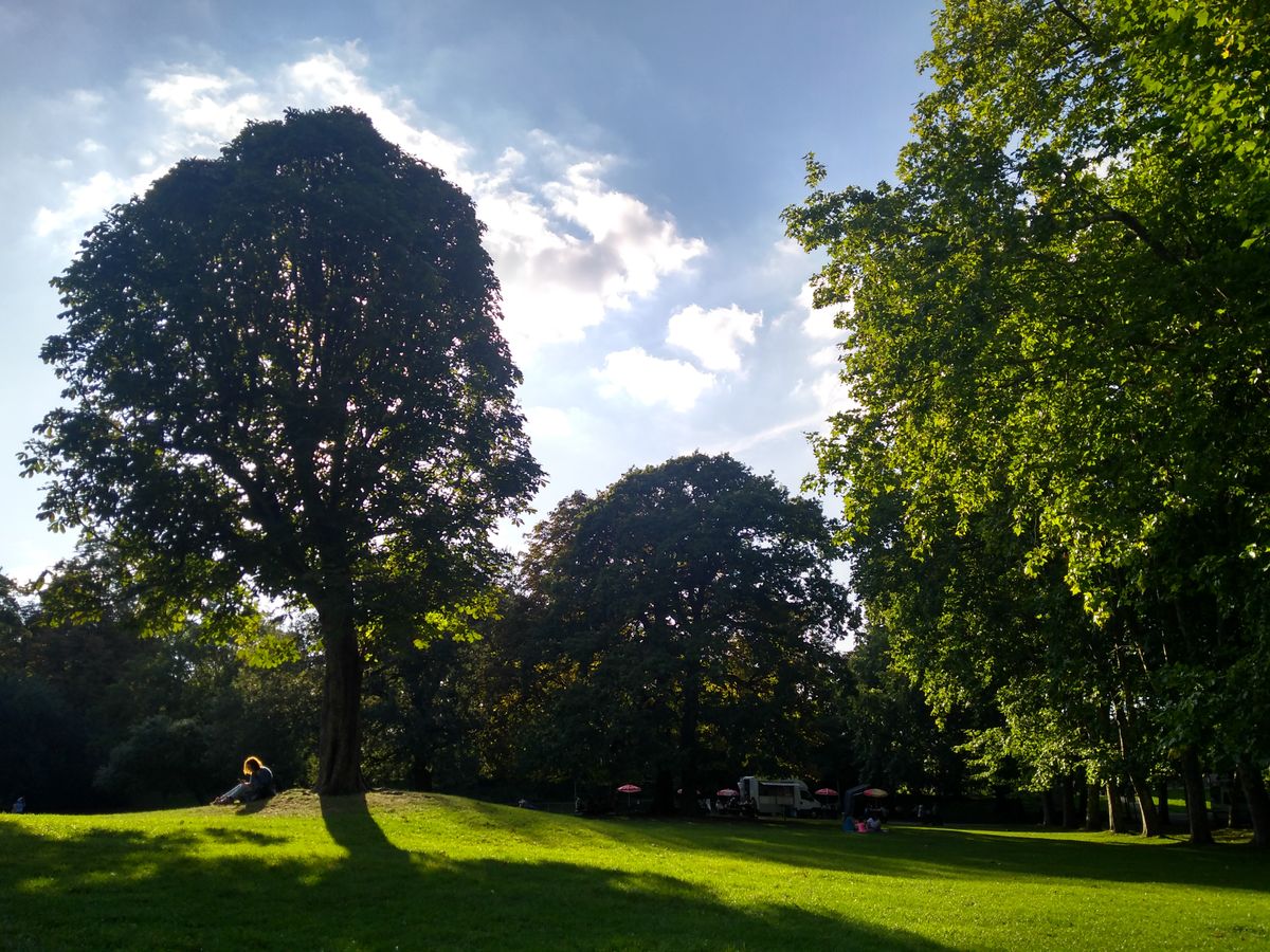 Cloud over-exposure aside, the phone&rsquo;s dynamic range enhancement has done a great job with this scene, bringing out grass detail in the tree shadows.