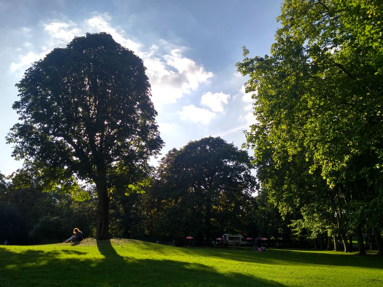 Cloud over-exposure aside, the phone&rsquo;s dynamic range enhancement has done a great job with this scene, bringing out grass detail in the tree shadows.