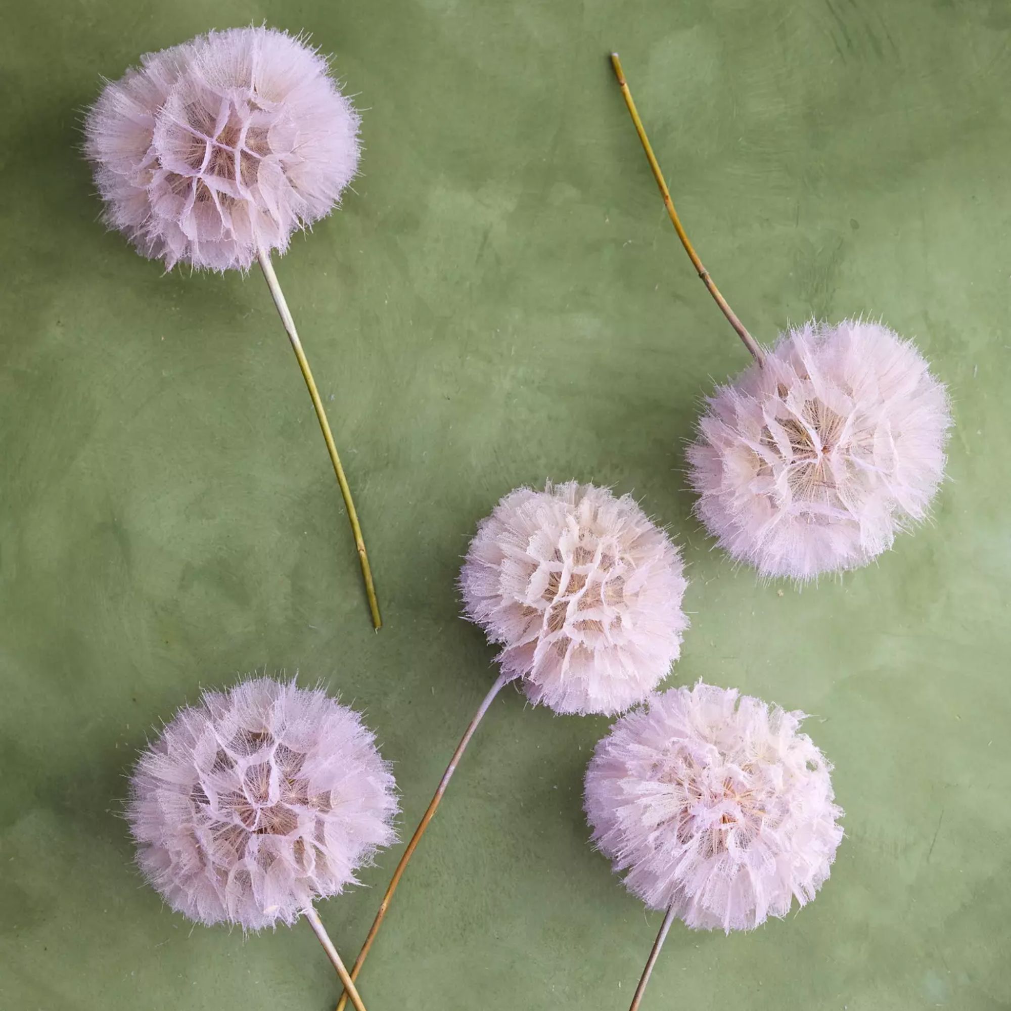 Faux lilac dandelions
