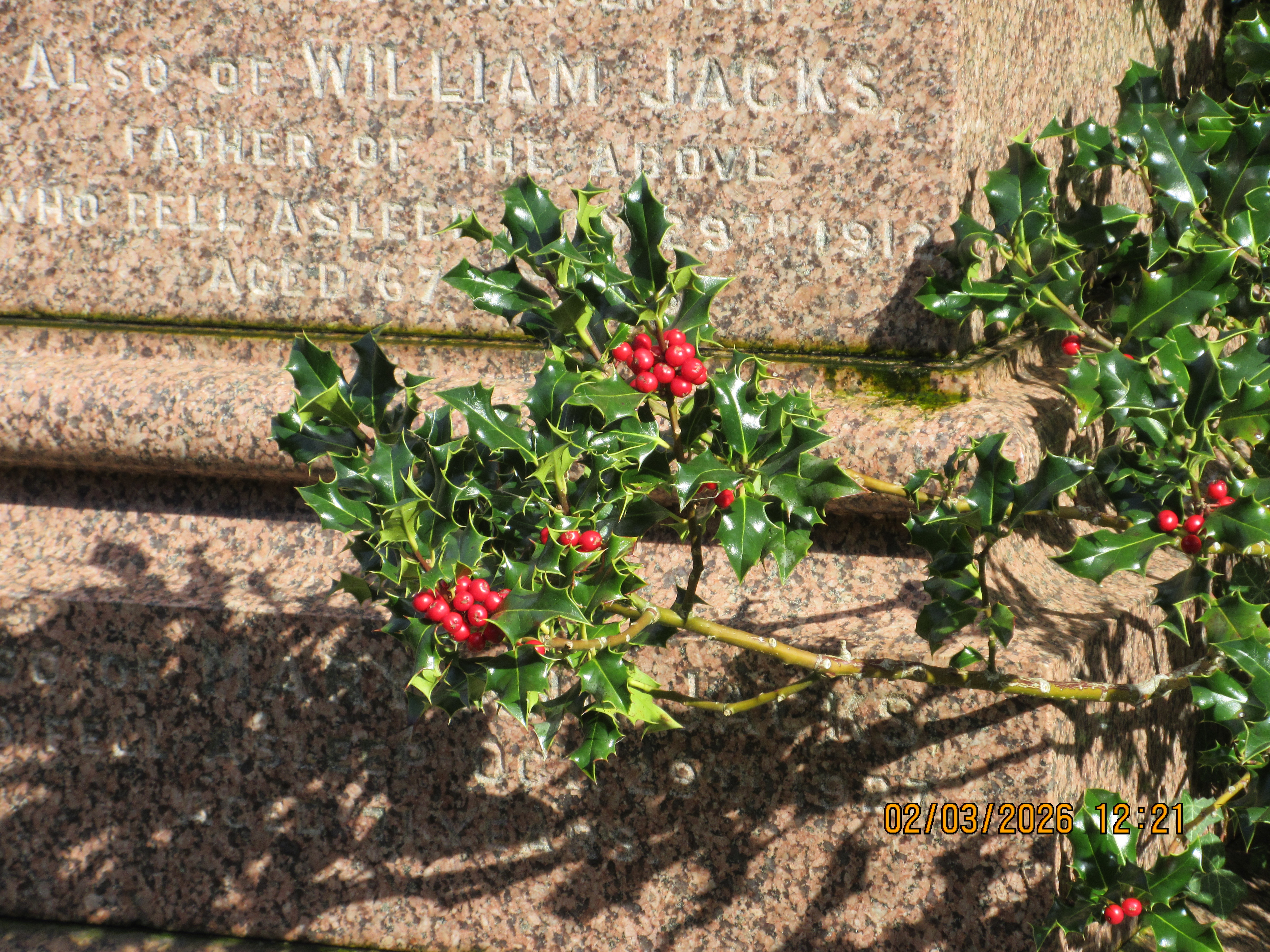 A photo taken on a Canon PowerShot Elph 360 HS A / IXUS 285 HS A compact camera